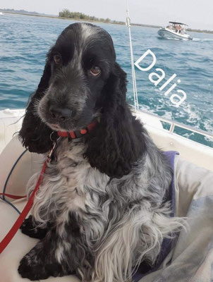 In gommone