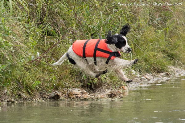  Ecco il primo tuffo... 