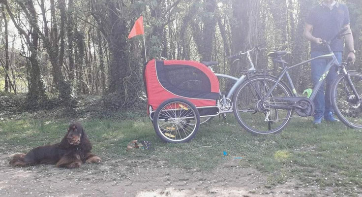 I viaggi in bicicletta