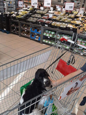 Nel carrello al supermercato 