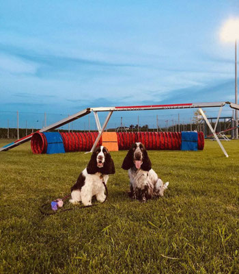 Agility che passione