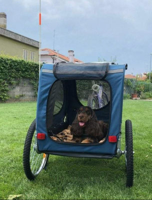 Il carrellino è un ottimo modo sicuro per usare la bicicletta 