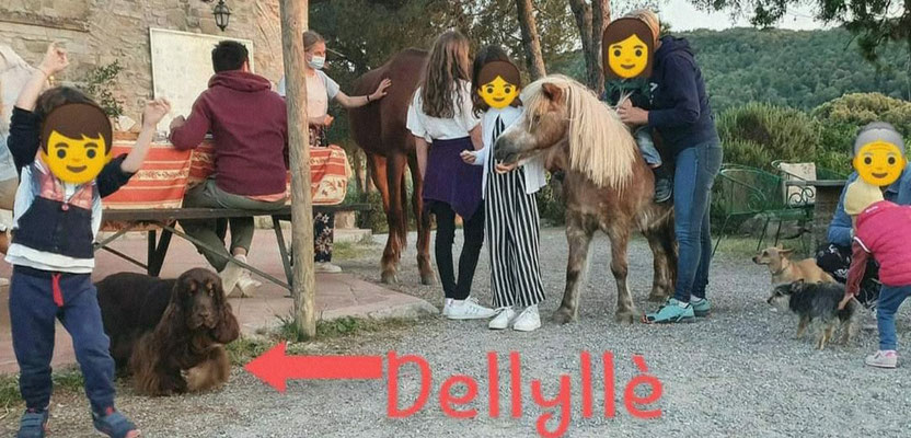Una giornata in campagna con bimbi e altri animali