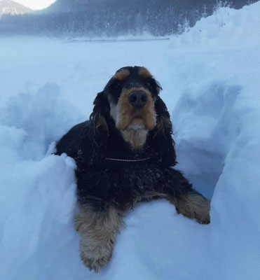 Rotolarsi nella neve