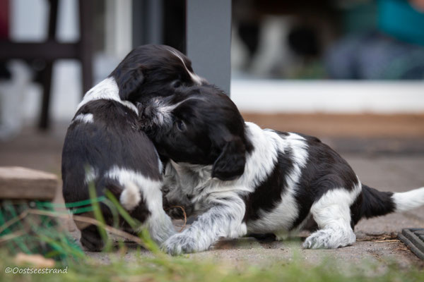 Theo und Alica