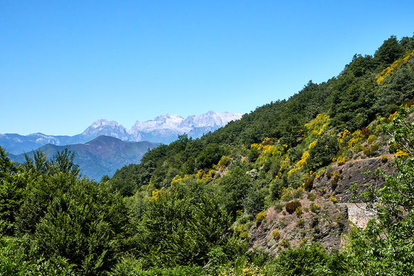 Blick auf die Picos de Europa; © Roberto Cabo