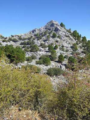 Wanderung in der Karstlandschaft um Grazalema