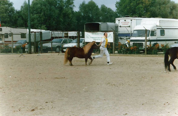 Adonis de la Clairière 