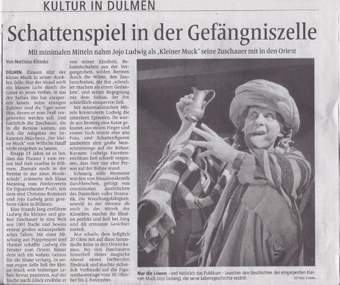 Kritik zum ProFi-Frühsommer-Special 2014 in der Dülmener Zeitung