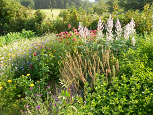 Kräutergarten