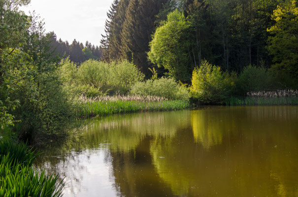 Foto Dr. Christian Grohmann