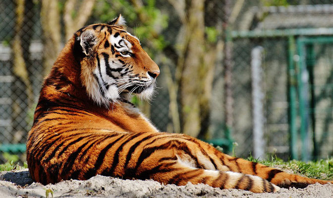 The Munich Zoo