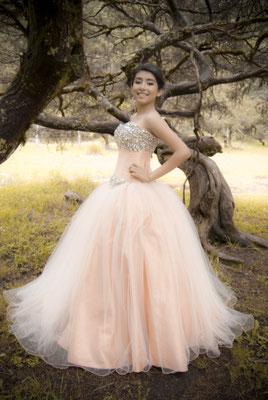Vestidos de XV Años - D´Santy Vestidos de XV Años - D´Santy