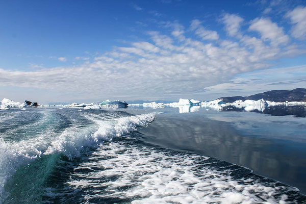 Vollgas zwischen den Eisbergen