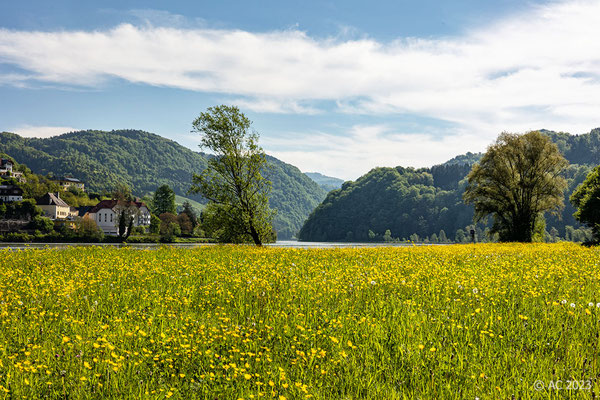 Die nächste Etappe führt von Grein bis nach Kloster Melk, ca 55km