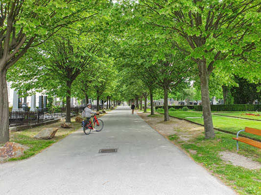 Fast nur mit dem Radl kann man die gigantische Größe des Zentralfriedhofs in Wien erkunden: der zweitgrößte Friedhof Europas mit 2 Qudratkilometern