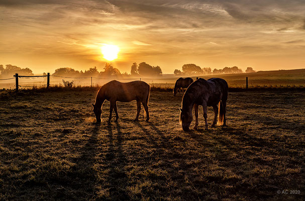 Sonnenaufgang bei Dasing