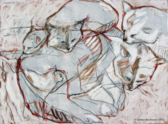 HAUSKATZE – 2011 - Öl und Acryl auf Leinwand – 75 x 100 cm