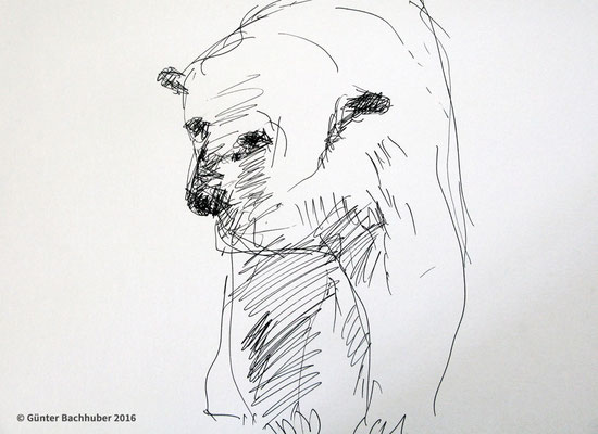 EISBÄR – 2005 - Tintenroller – 30 x 42 cm