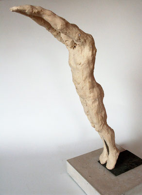 SPRINGER – 2015 - Ton, Metall – 55 x 35 cm