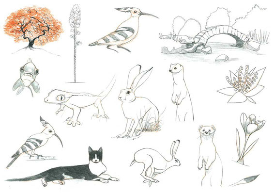 Caricatures d'animaux et de plantes