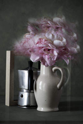 progetto still life 1