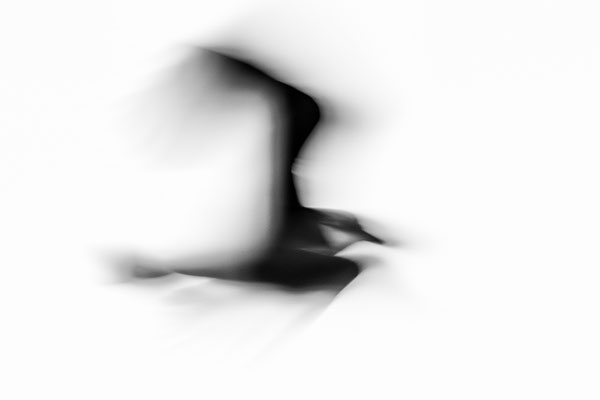 'Lapwing 1'