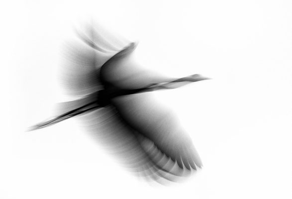 'Crane 2'