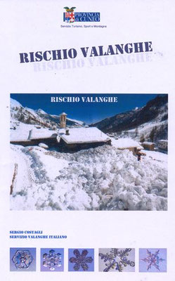 Manuale delle valanghe