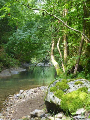 Affluent de la Sorgue