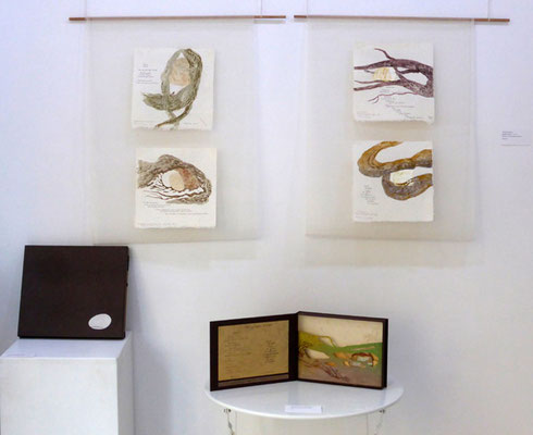 Racine et galet - estampes et livre-coffret réalisé avec Florence Clerc