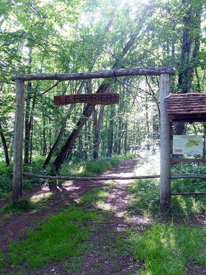 Entrée du ferrier antique dans le bois de Tannerre dans l'Yonne