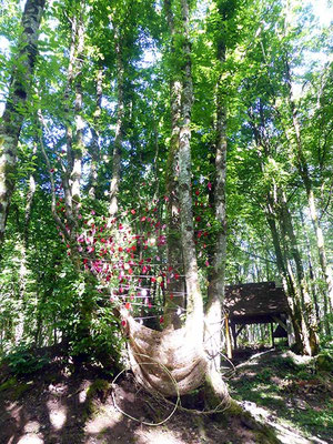 L'arbre à vœux 3