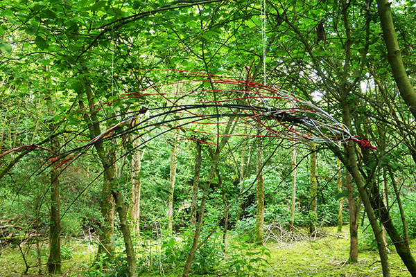 hirondelles en clématite et saule peintes