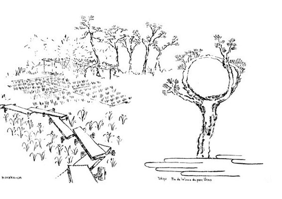 jardin de Koishikawakoraku-en et pin de la lune au parc Ueno à Tokyo