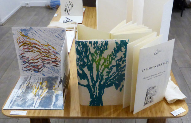 Exposition à In Situ 2024 - livres d'artiste