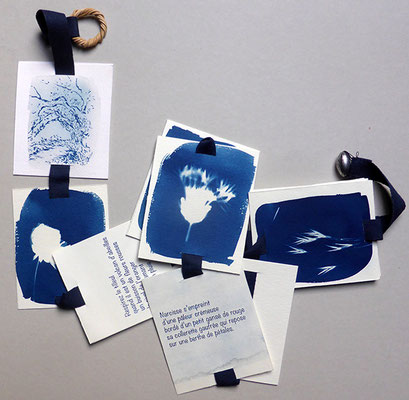 Dans les pas de Sido - textes et images en cyanotype