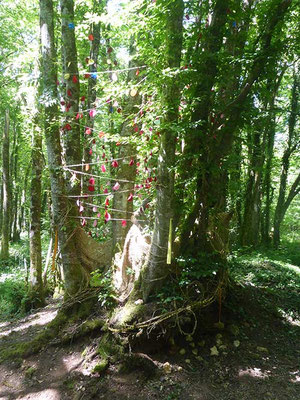 L'arbre à vœux 2