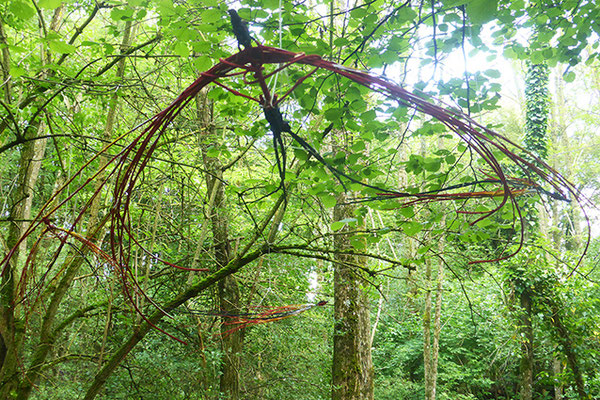 hirondelles en clématite et saule peintes