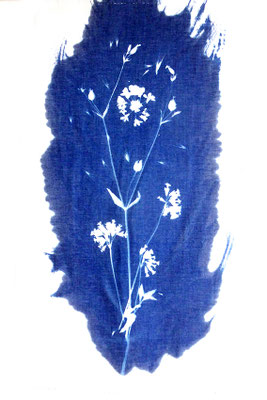 Les coucous - cyanotype sur tissu de coton et lin  74 x 44cm