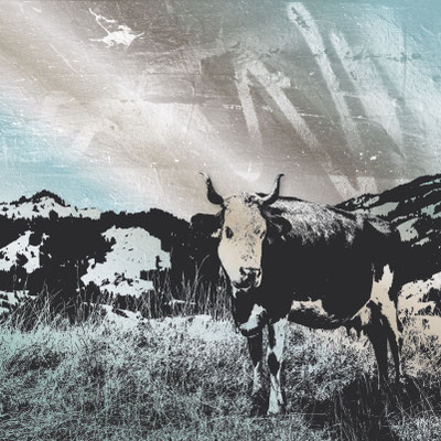 Denner Schweiz- Bilder Sozialräume