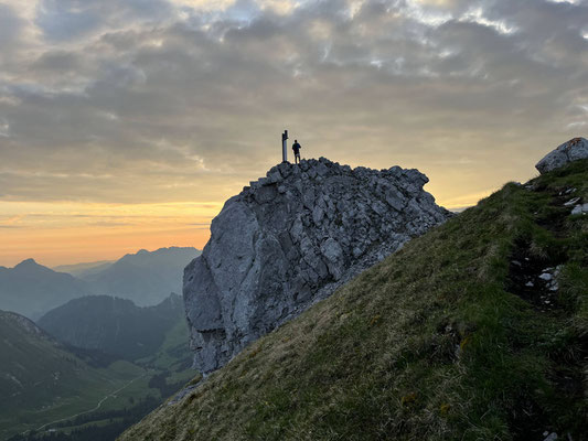 Dent de Savigny.