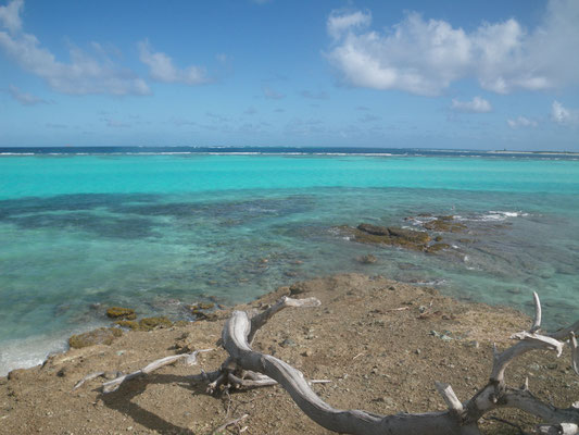 Dommage que l'eau soit trouble proche de l'îlot.