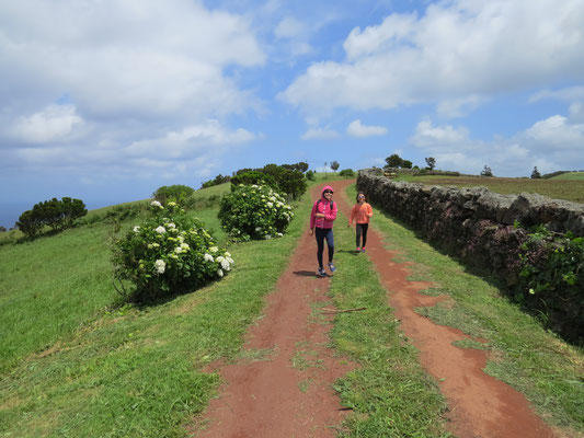 En balade sur la côte nord de Sao Jorge.