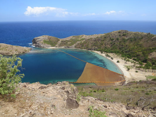 Baie de Pompierre encombrée par les sargasses.