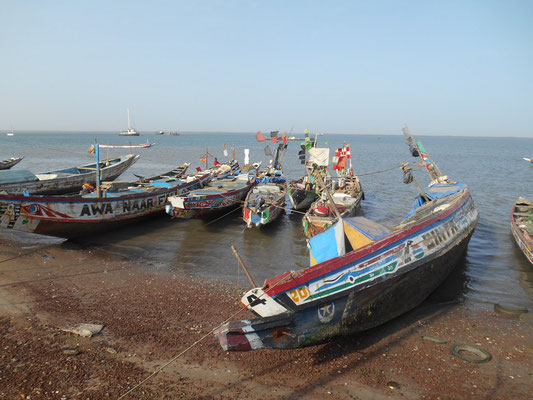 Pirogues de pêche au port de Banjul