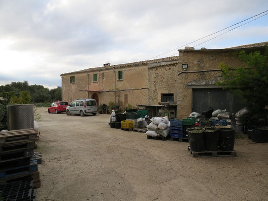 Ferme et pressoir d'olives