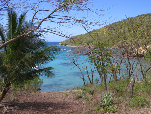 Anse Fideling