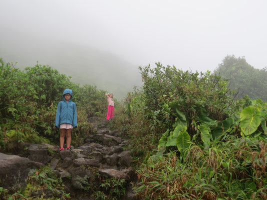 Ascension de la Soufrière