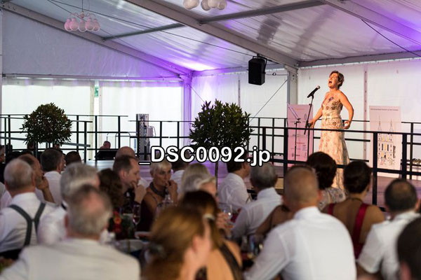 2. Sommernachtsball 2019 Arlesheim